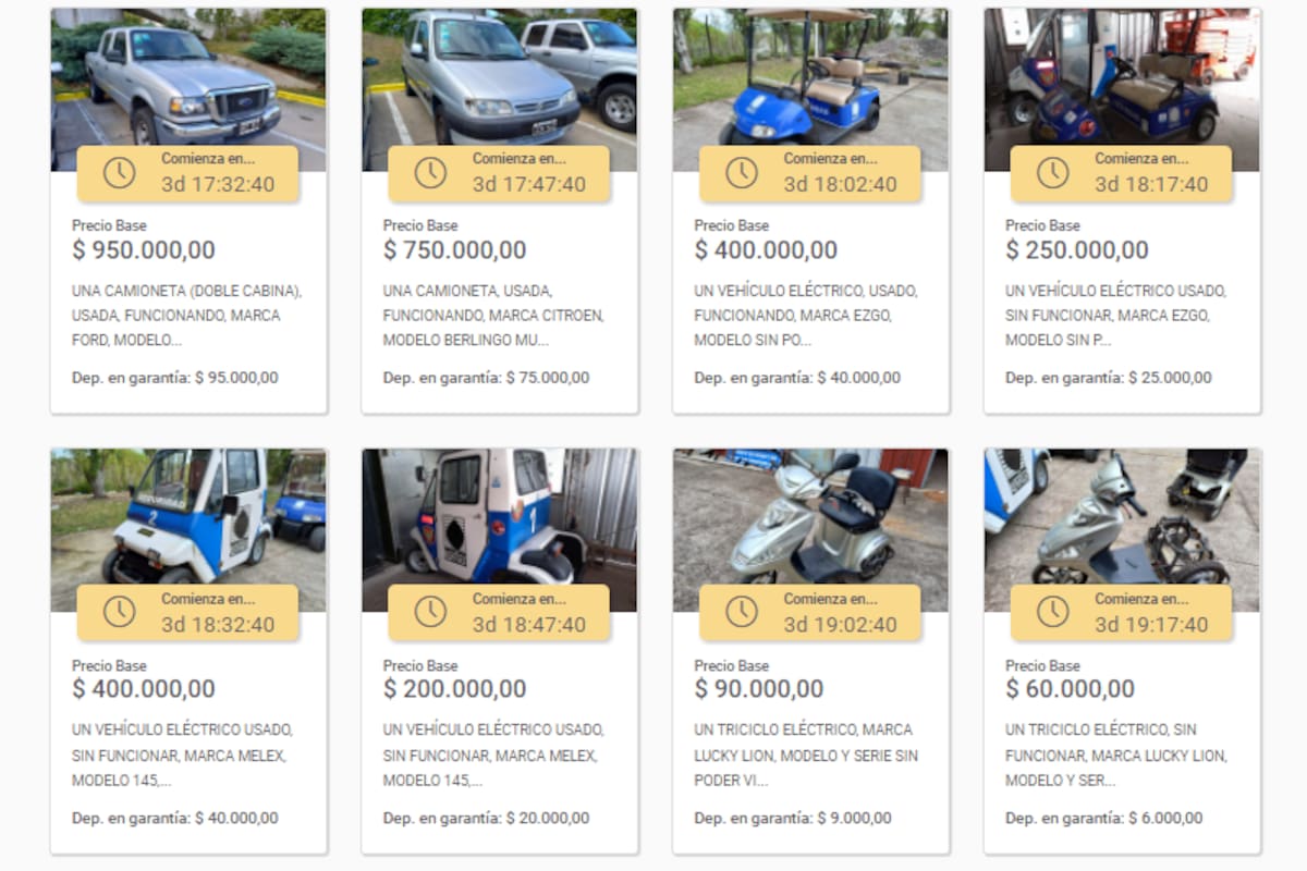 Habrán dos subastas virtuales entre las 11 y las 14 horas del 3 de junio