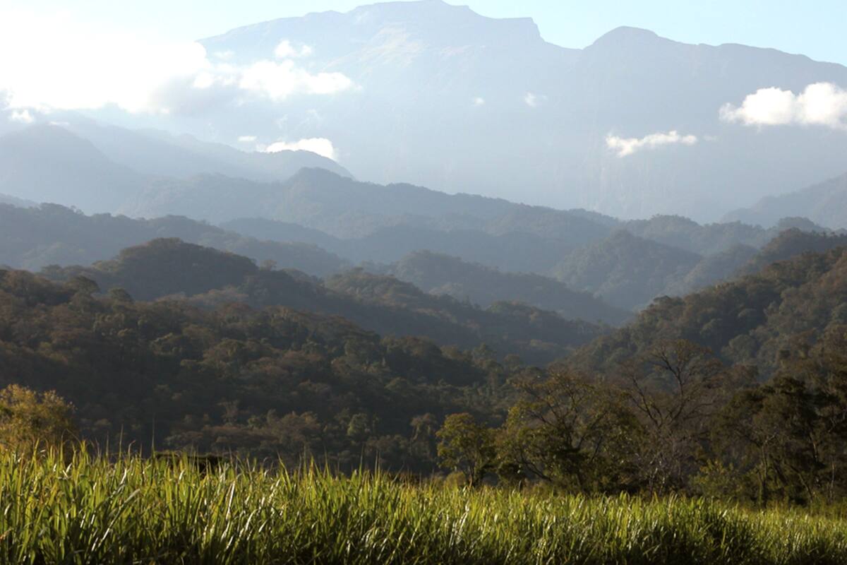 Hace 10 años la Fundación ProYungas creó el programa Paisaje Productivo Protegido (PPP), que genera un modelo de gestión del territorio a escala de paisaje que permite integrar la producción con la conservación de la naturaleza