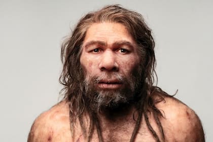 Hace 100.000 años convivieron diferentes grupos de humanos