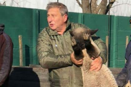 Hace 15 años que Ariel Manfroi tiene una cabaña ovina de la raza Hampshire Down