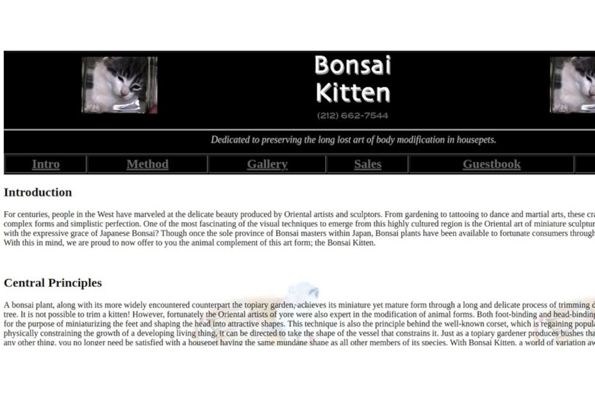 Hace 18 años un estudiante del MIT puso en línea un sitio que vendía gatitos criados en botellas. Era falso, pero le creímos. En la imagen, una captura de la portada de bonsaikitten.com