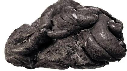 Hace 6.000 años, Lola masticó este pedazo de alquitrán de abedul, y ahora sabemos algunas cosas sobre ella.