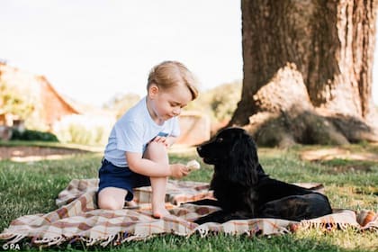 Hace algunos años, se viralizó la imagen del Príncipe George dándole helado a su perro