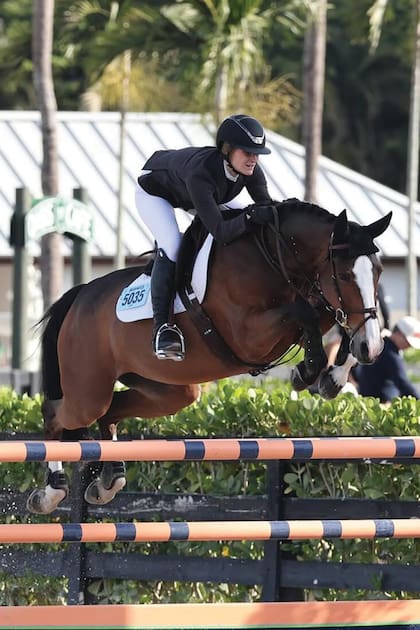 Hace
apenas una semana,
regresó en Wellington
a las competencias
de salto después de
mucho tiempo