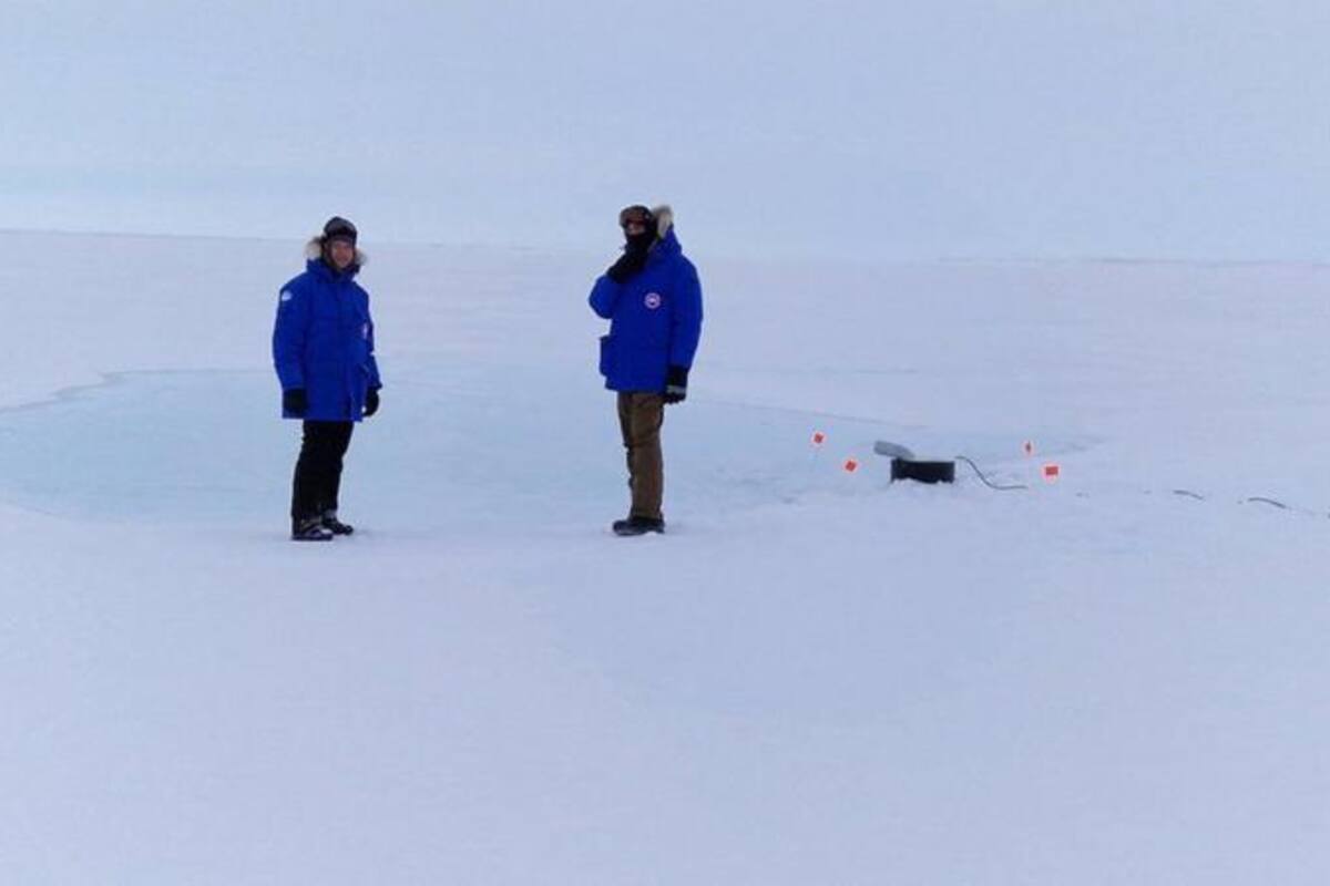 "Hace bastante frío", dicen los investigadores. El viento helado en la bahía de Cambridge puede provocar una sensación de -45 °C