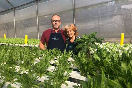 Hace cinco años, Carlos y Gabby Lisanti comerzaron un proyecto hidropónico en Pablo Nogués, que hoy tiene 18 mil plantas