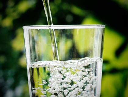 Hace falta cambiar el agua regularmente para que las flores se mantengan sanas