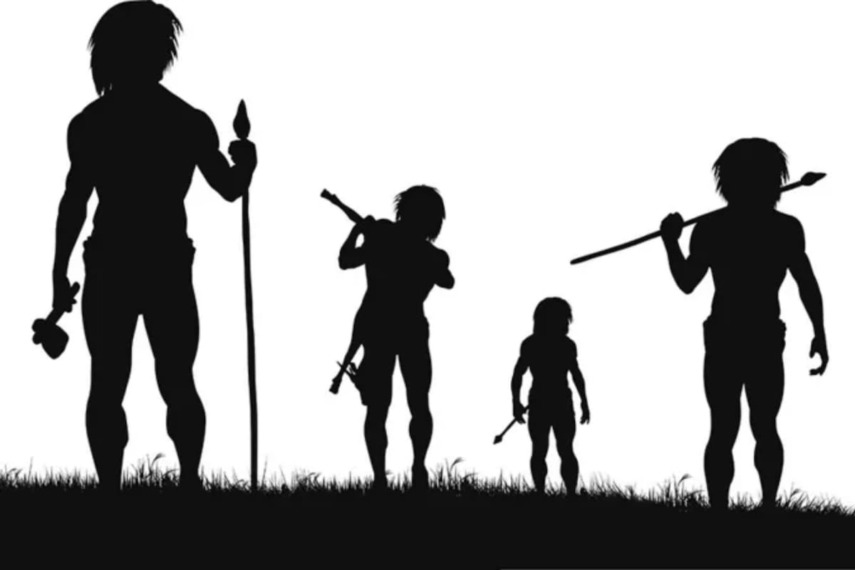 Hace medio millón de años algunos individuos ingeniosos inventaron las herramientas que nos permitieron avanzar como especie