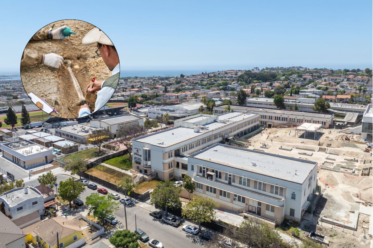 Hacen un increíble descubrimiento en California