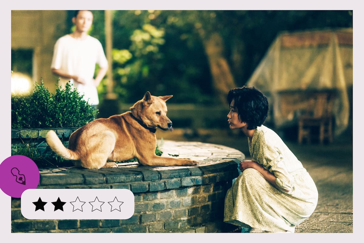 Hachiko 2, siempre a tu lado, estreno del jueves 9