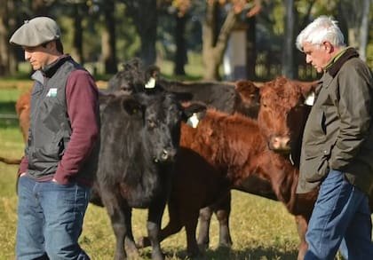 Hacia adelante, los Orazi trabajan en tener también su sello La Pastoriza en el Angus negro
