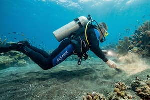 Hacía buceo y descubrió un tesoro valorado en 100.000 dólares en las profundidades marinas