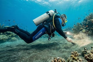Hacía buceo y descubrió un tesoro valorado en 100.000 dólares en las profundidades marinas