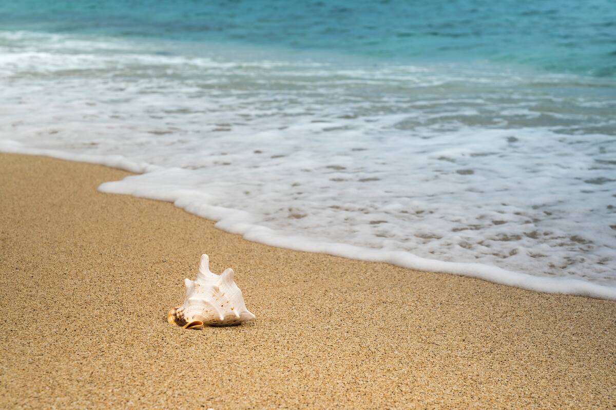 ¿Haciendo la valija? Club te hace de ayudamemoria para que no te olvides nada en tu viaje a la costa.