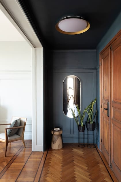 Hall pintado en el color ‘Iron Ore’ de Sherwin Williams. Lámpara de techo (Iluminarte). Macetas y plantas (Ciudad Naturaleza). Espejo con marco de hierro (Antiguo Vagón Deco). Taburete de madera (Casa Clara).