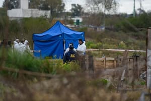 Hallan a un joven asesinado a balazos en el barrio Las Flores
Rosario Plus