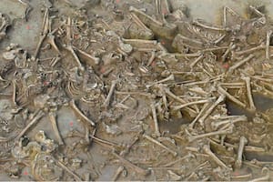 El descubrimiento de un antiguo yacimiento funerario "sin cabeza" podría finalmente resolver un misterio de 7000 años de antigüedad