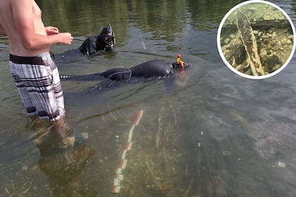 Hallan en un río de Bosnia, un conjunto de lingotes de metal de hace más de 2000 años, únicos en su tipo en Europa