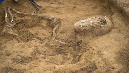 Hallan esqueletos de hombres y caballos sepultados en el campo de la histórica batalla de Waterloo.