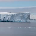 Científicos buscaban un barco perdido en la Antártida, pero lo que vieron debajo de un iceberg los dejó impactados