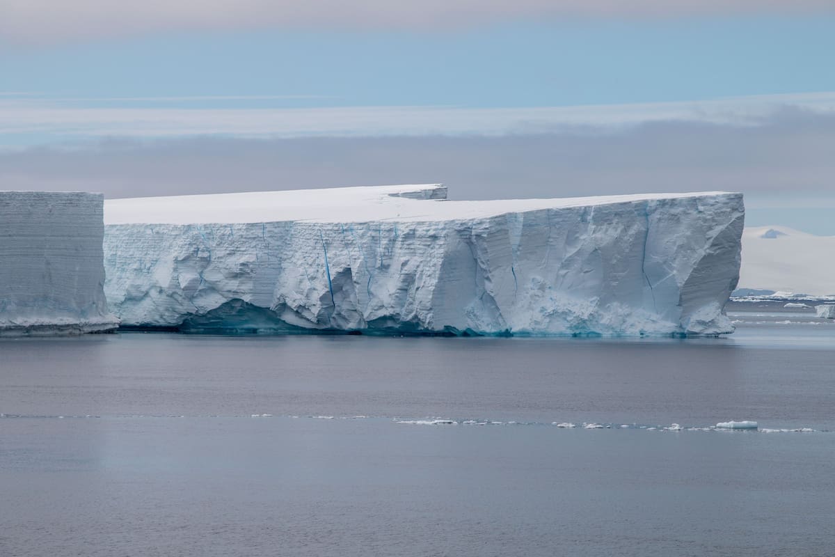 Hallan miles de nidos de peces debajo de un iceberg
