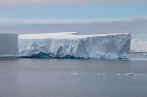 Científicos buscaban un barco perdido en la Antártida, pero lo que vieron debajo de un iceberg los dejó impactados
