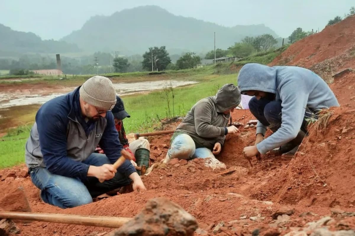 Hallan un dinosaurio de más de 200 millones de años en Brasil