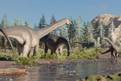 Hallaron en Neuquén los restos de un dinosaurio herbívoro extinto hace 90 millones de años