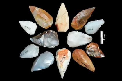 Hallaron fósiles de 74.000 años que develan cómo los humanos conquistaron el planeta