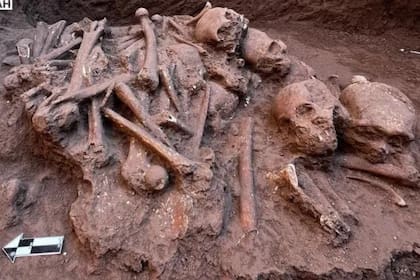 Hallaron un ritual funerario del 500 d.C con siete cráneos y un esqueleto intacto