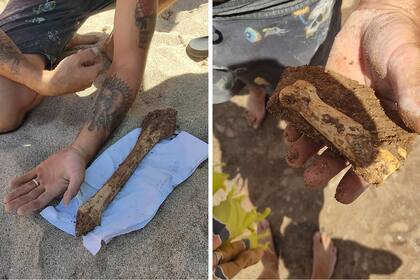 Los huesos encontrados en la costa argentina