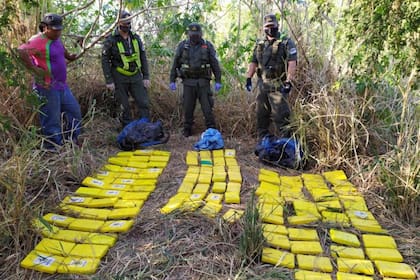 Hallazgo de cocaína en el monte, en la localidad de General Ballivian
