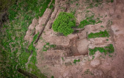 Hallazgos de fragmentos de cuerpos en fosas comunes. Loma del Torito, La Calera, Córdoba.