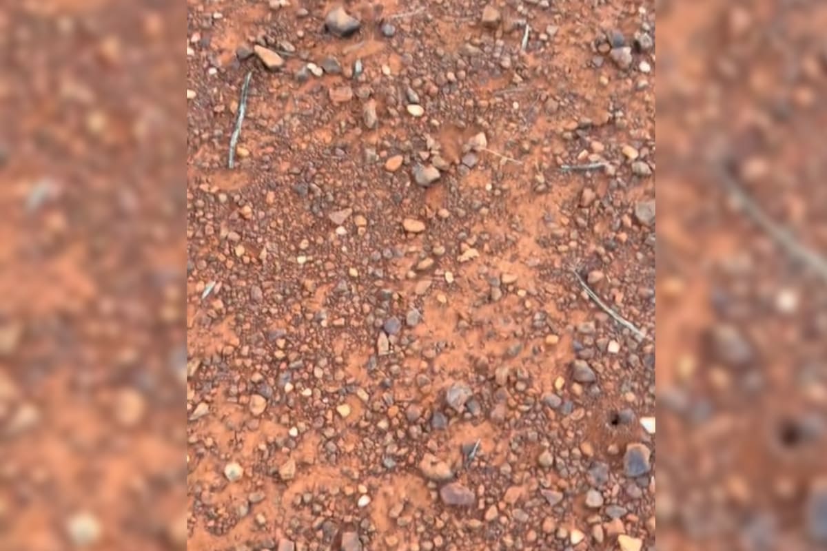 Halló oro entre la tierra y piedras (Captura video)