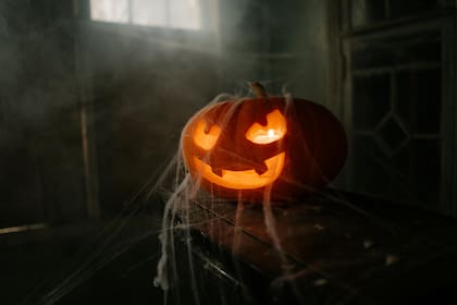 Halloween es una tradición que se celebra en EE.UU., y se asocia con brujas y otros espíritus (Archivo-Pexels/cottonbro studio)