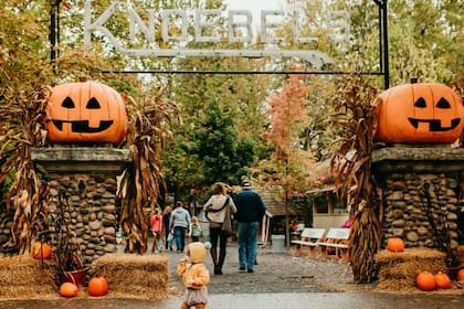 Halloween se celebra cada 31 de octubre