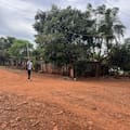 Los obstáculos que amenazan el futuro de los chicos en las zonas rurales