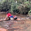 La comunidad de Misiones que se resiste a la forestación y vive en un parche de tierra sin luz ni agua