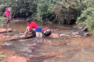 La comunidad de Misiones que se resiste a la forestación y vive en un parche de tierra sin luz ni agua