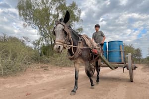 Cómo viven las comunidades de las provincias con mayor pobreza extrema del país