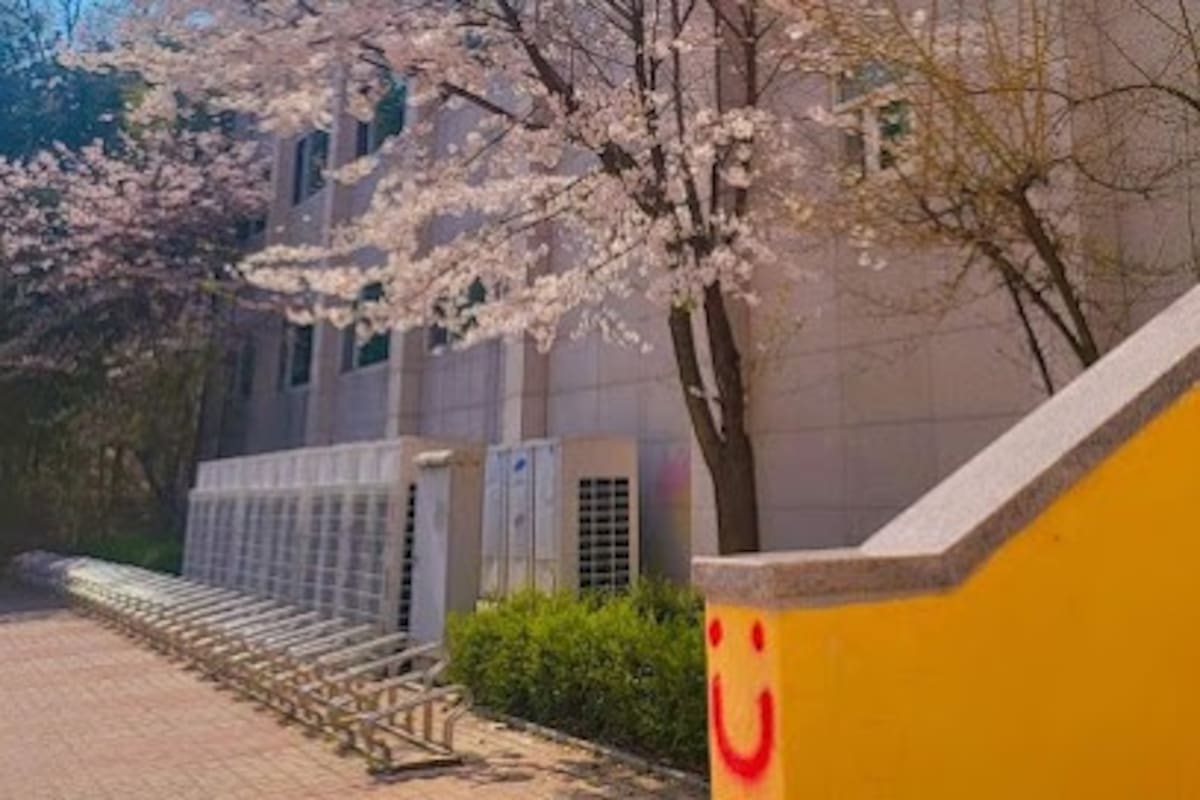 Hanlim Arts School, la nueva escuela para famosos