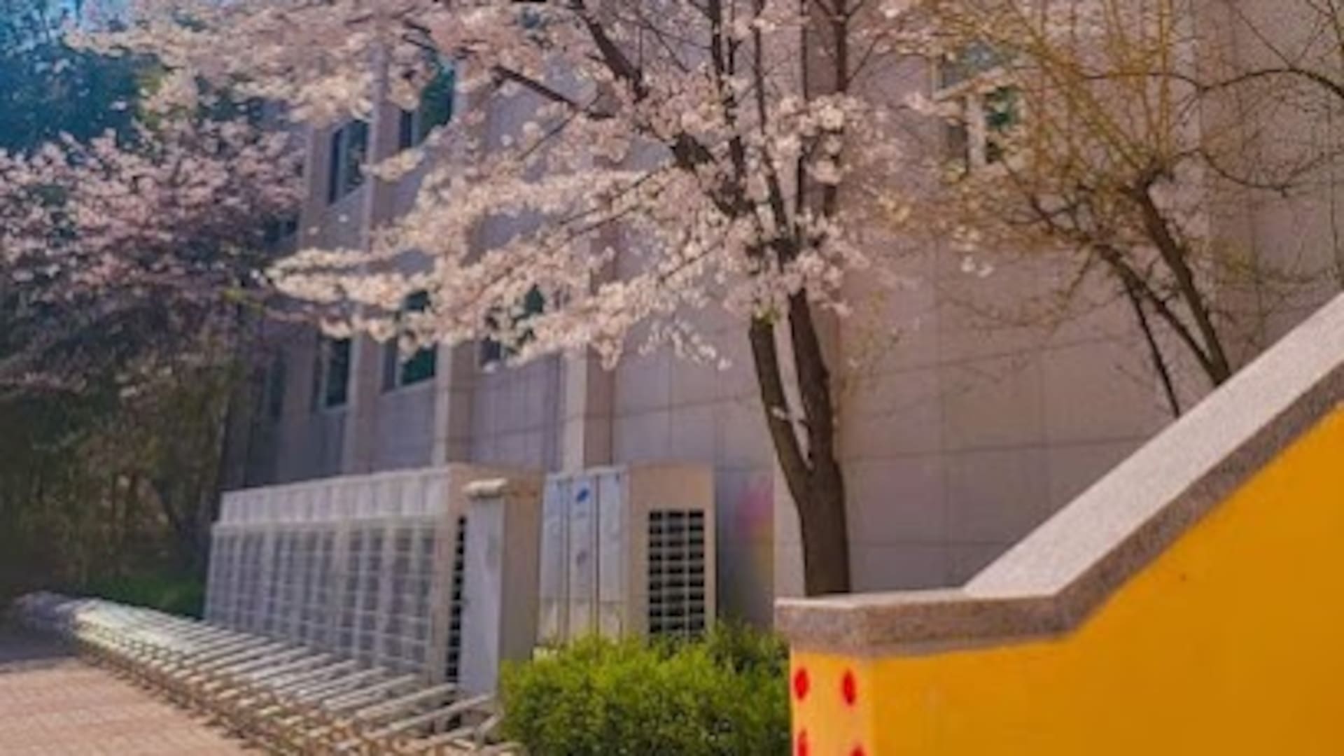 Hanlim Arts School, la nueva escuela para famosos