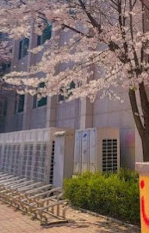 Hanlim Arts School, la nueva escuela para famosos