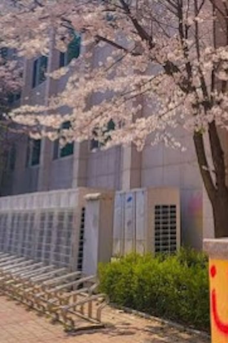 Hanlim Arts School, la nueva escuela para famosos