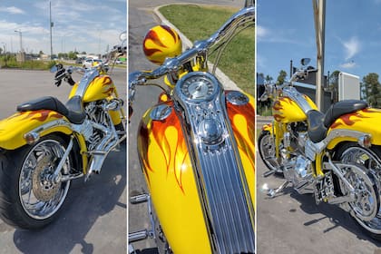 Harley Davidson Springer CVO 2008 que compró de 0km el artista Ricardo Fort