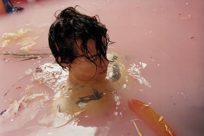 harry