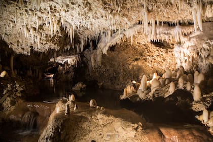 Harrison Cave.