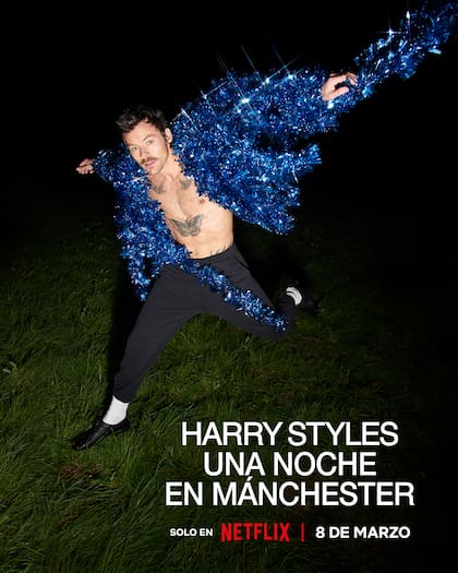 Harry Styles es uno de los artistas más convocantes en la actualidad (Foto: Netflix)