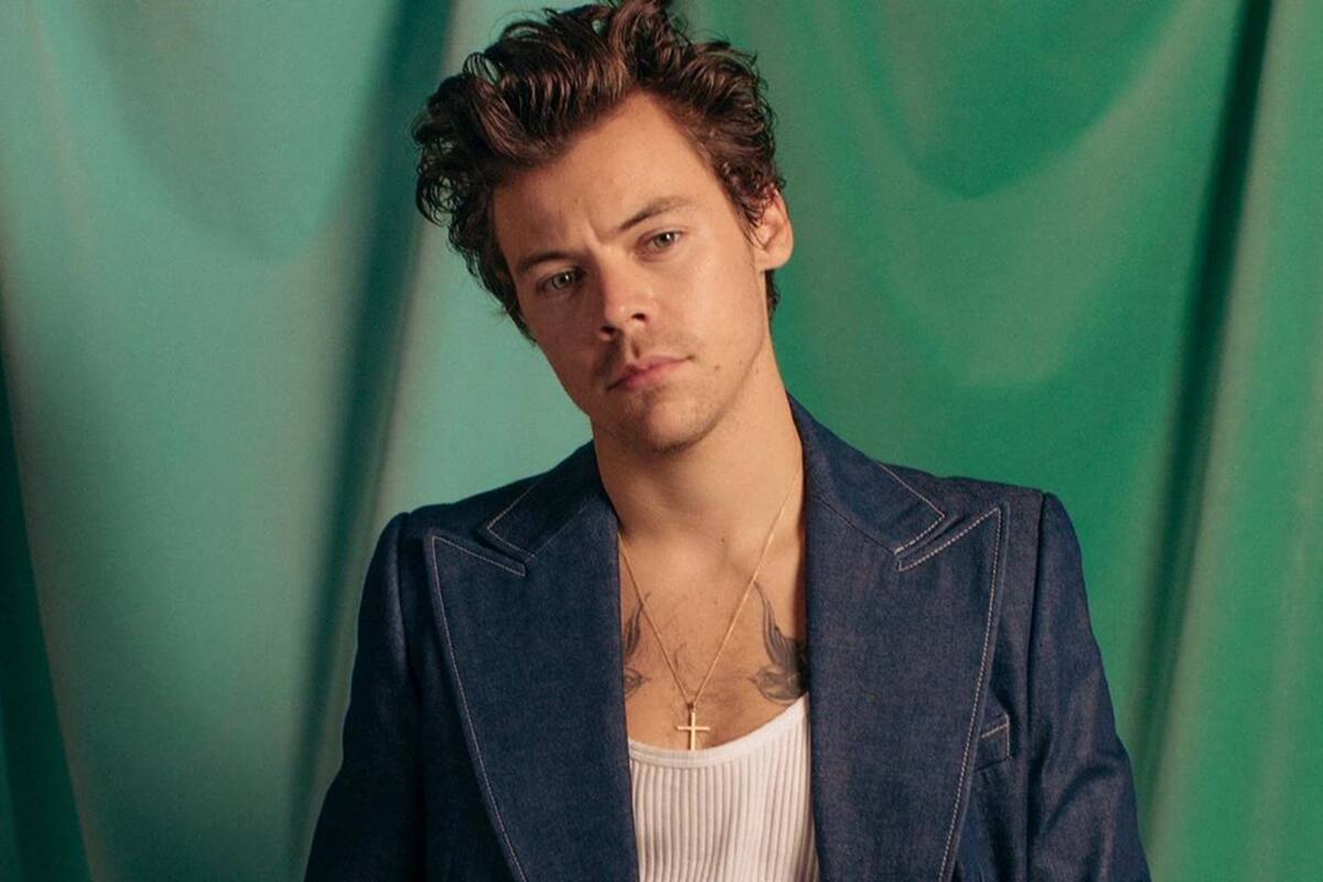 Harry Styles fue acusado por copiar la intro de la canción "El Profe", el icónico hit de la banda Miranda