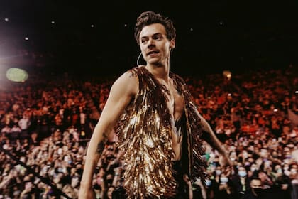 Harry Styles, un habitué de los charts
